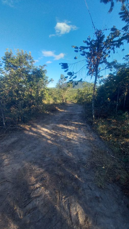 rea - Venda - Bom Jesus - Rifaina - SP