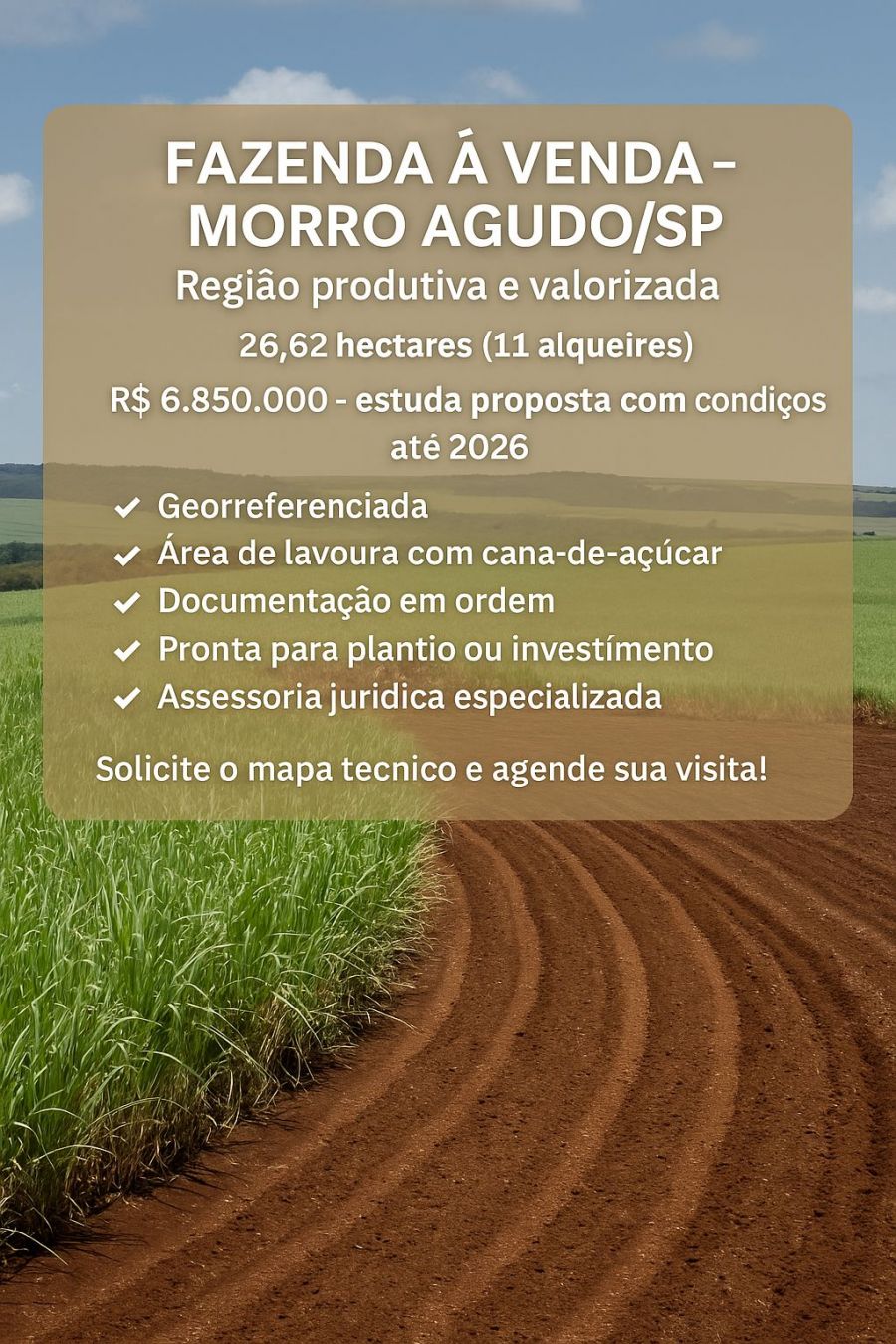 Fazenda - Venda - Centro - Morro Agudo - SP
